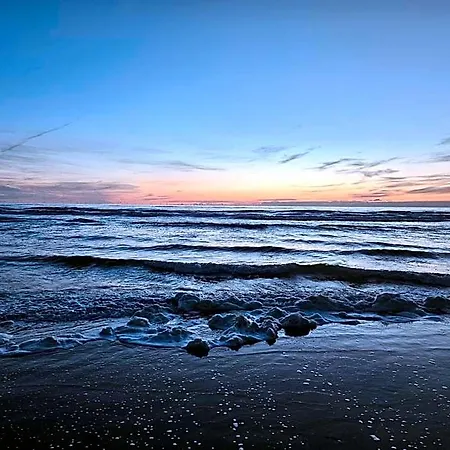 Duinvliet - Dunes & Free Parking 4*