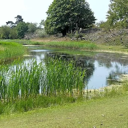Duinvliet - Dunes & Free Parking 4* Zandvoort