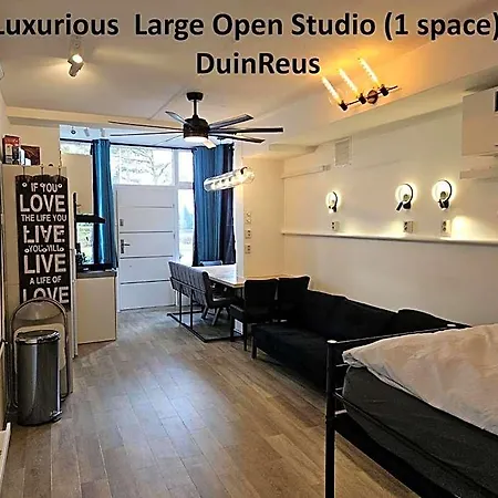 Duinvliet - Dunes & Free Parking Hotel 4*