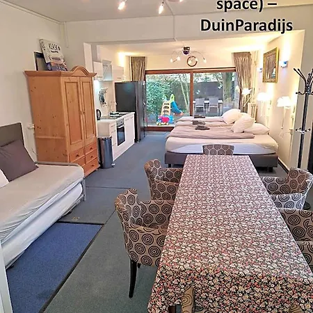 Duinvliet - Dunes & Free Parking Hotel Zandvoort