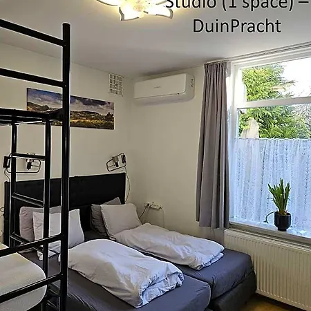 Duinvliet - Dunes & Free Parking Hotel
